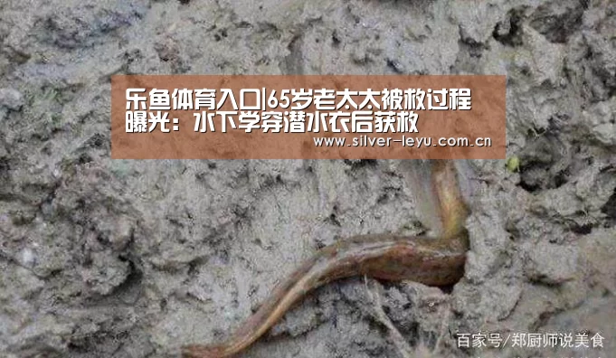 乐鱼体育入口|65岁老太太被救过程曝光：水下学穿潜水衣后获救
