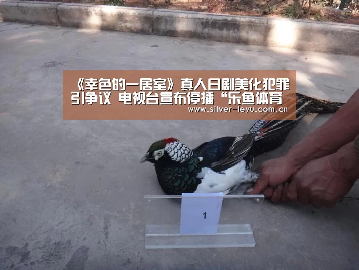 乐鱼