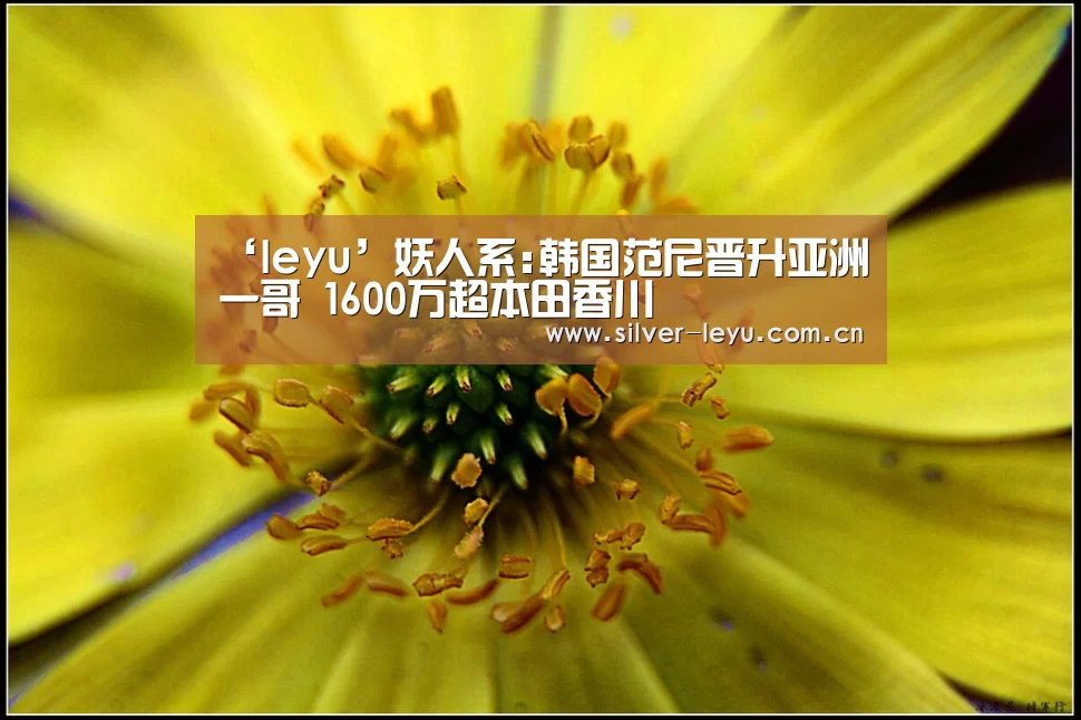 乐鱼体育在线