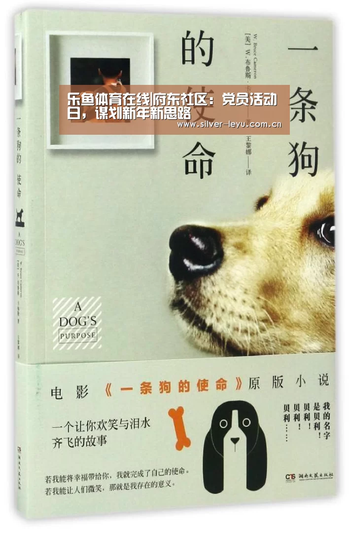 乐鱼体育在线