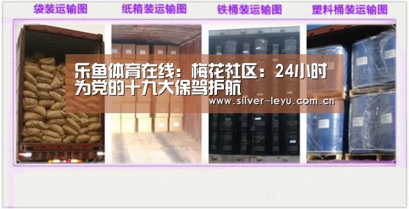 乐鱼体育在线：梅花社区：24小时为党的十九大保驾护航