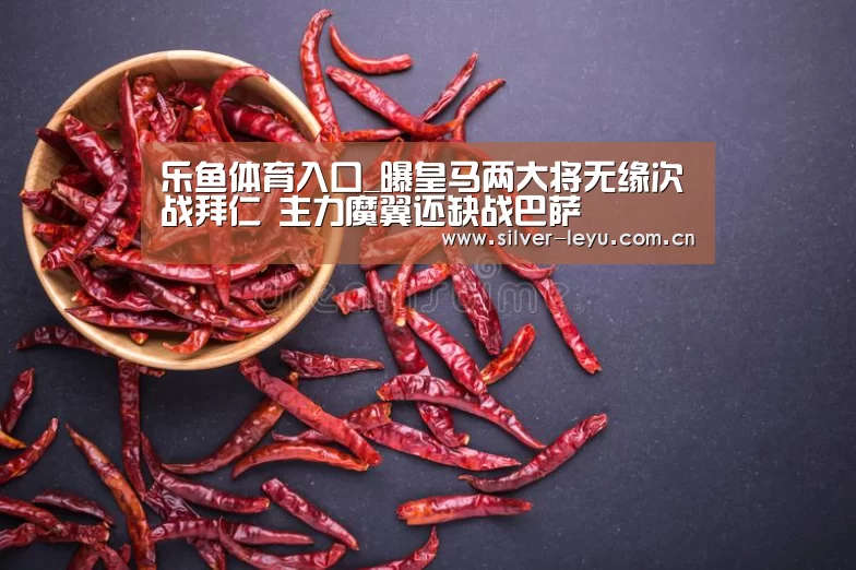 乐鱼体育入口_曝皇马两大将无缘次战拜仁 主力魔翼还缺战巴萨(图2)