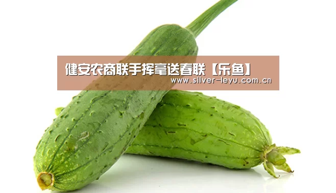 乐鱼